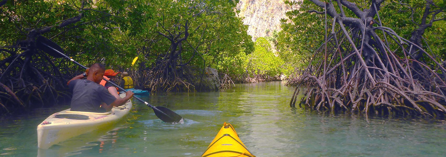 Calamian Kayak & Snorkel Sea Safari Using Banca or Catamaran