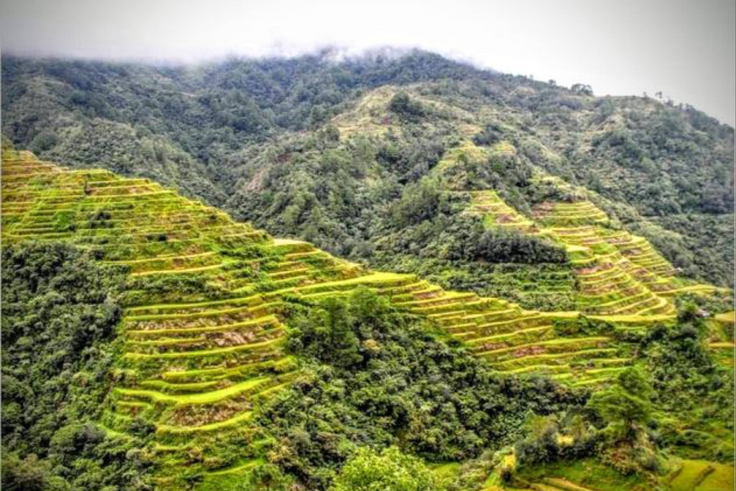 Northern Luzon